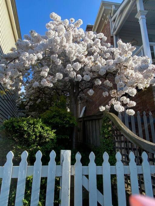 Charming Cottage Nestled In Prime Location Launceston Esterno foto